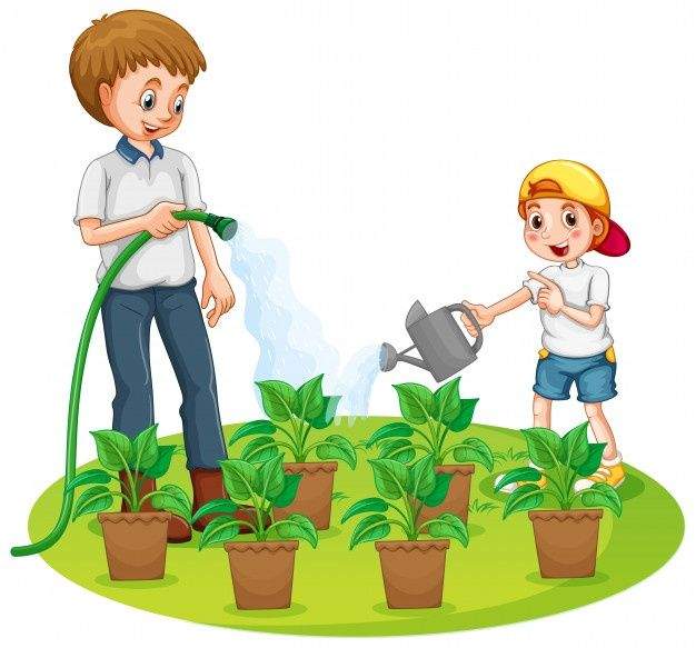 Watering Plants