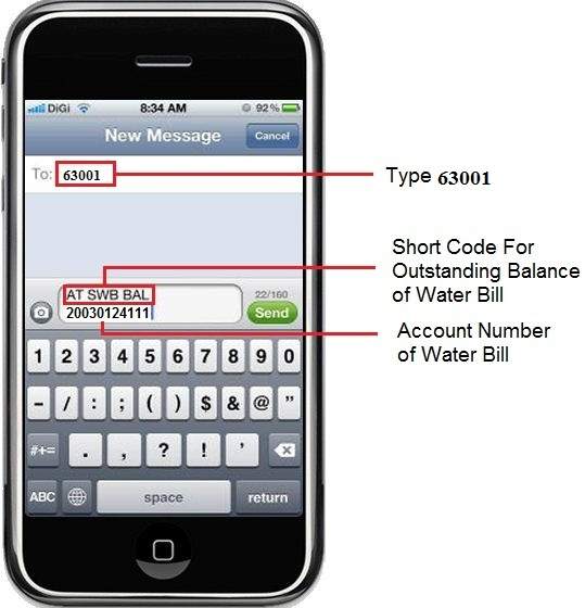 SMS Balance Enquiry Format